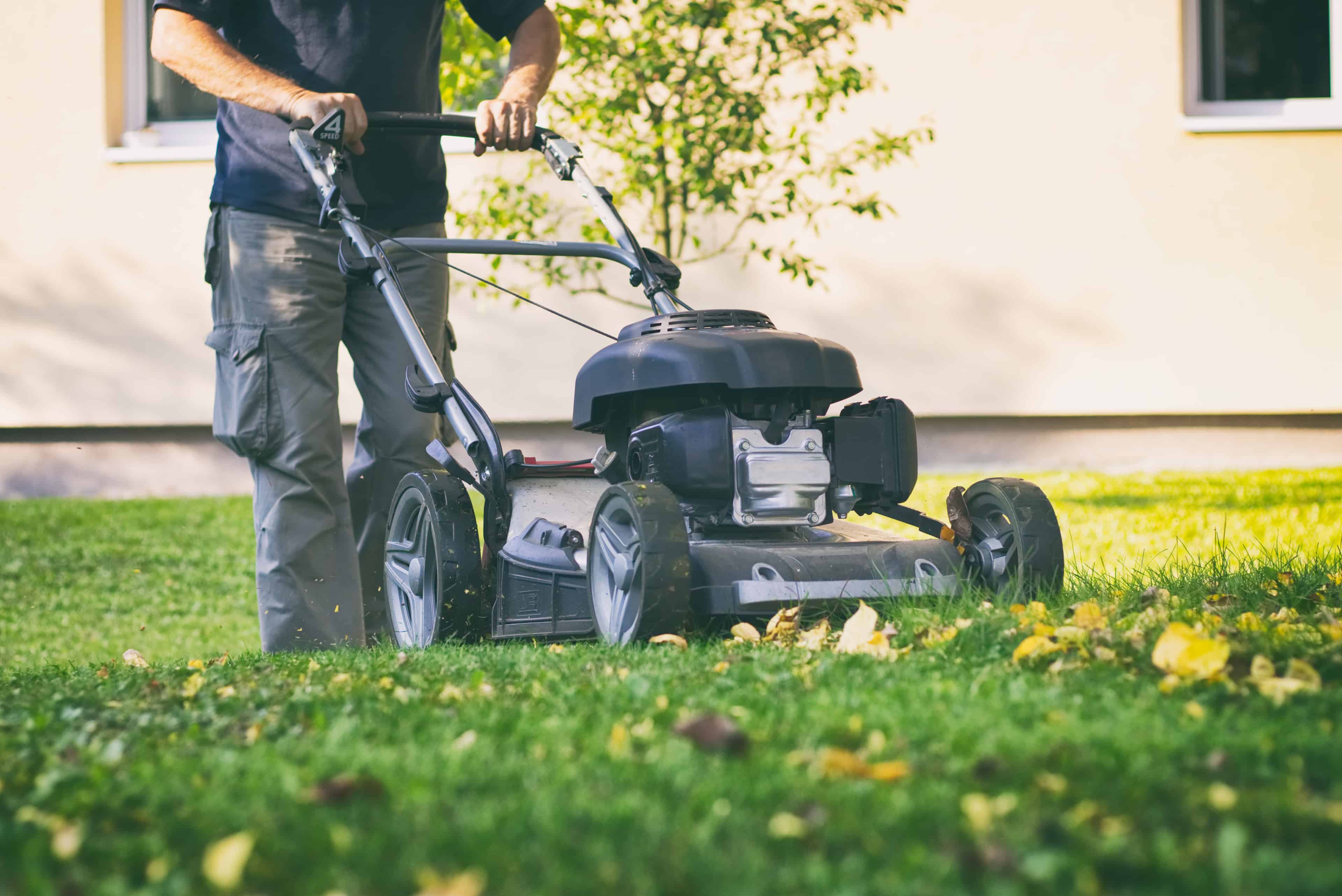 Lawn Mowing image