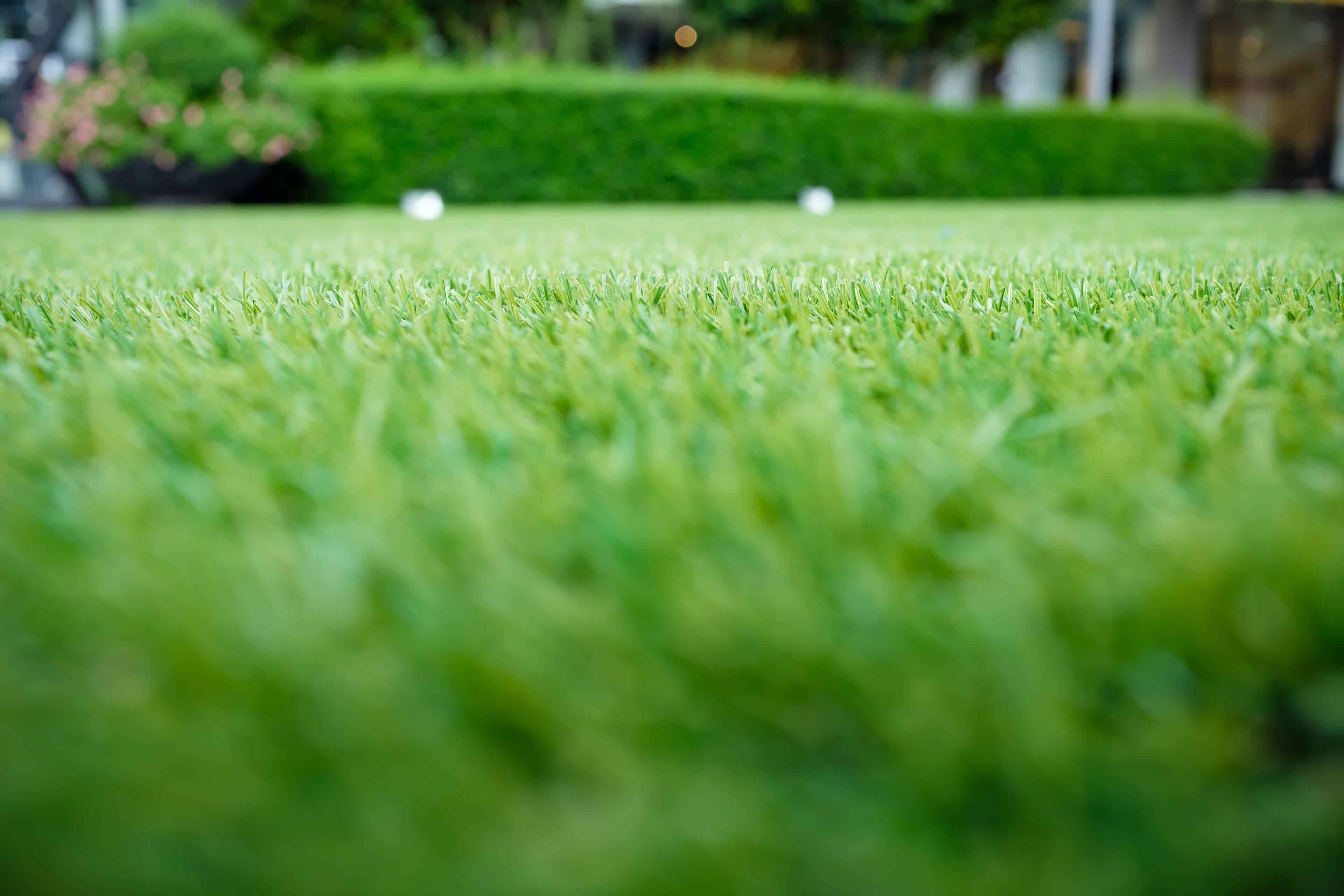 Lawn Care & Maintenance image