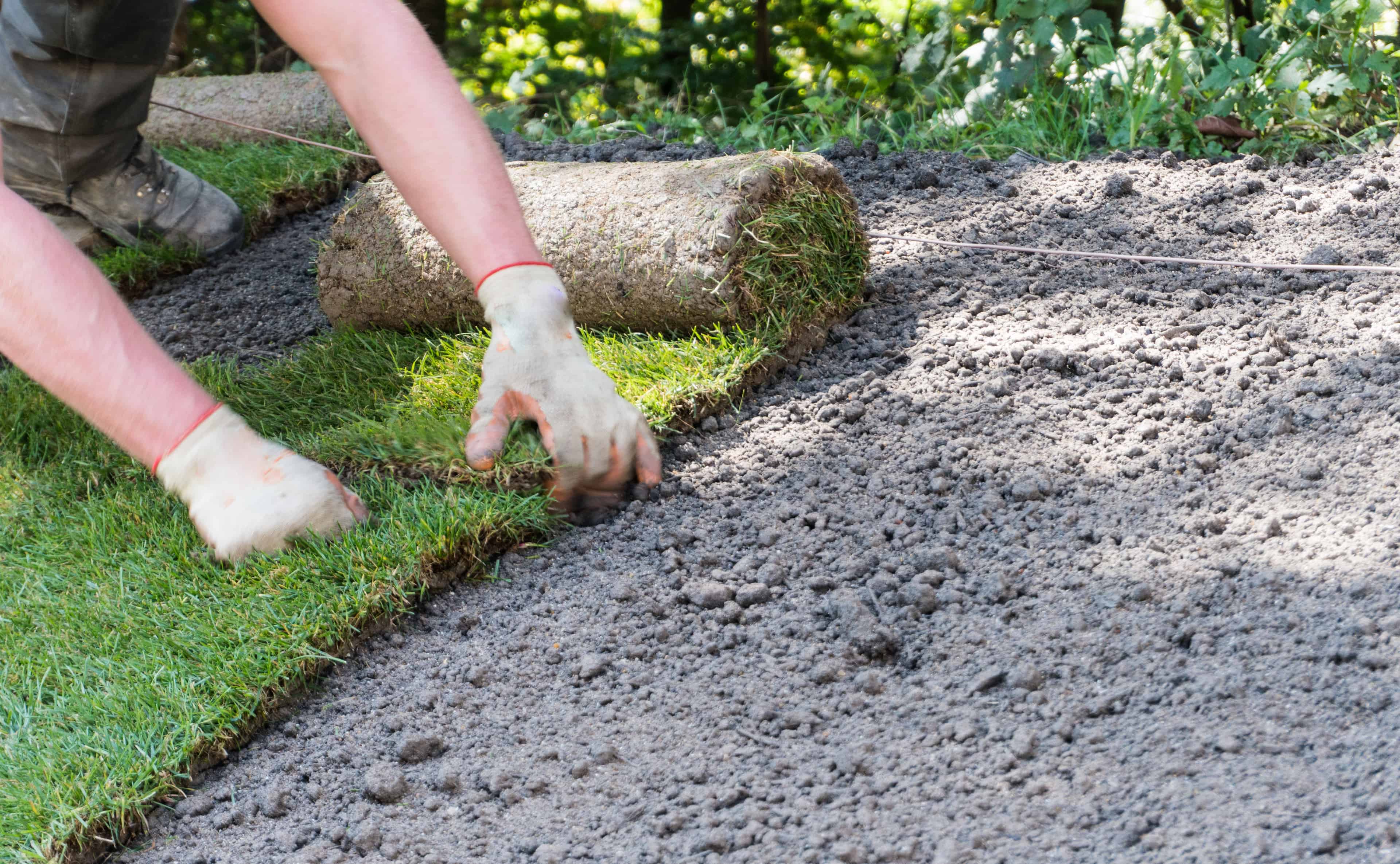 Sod Installation image