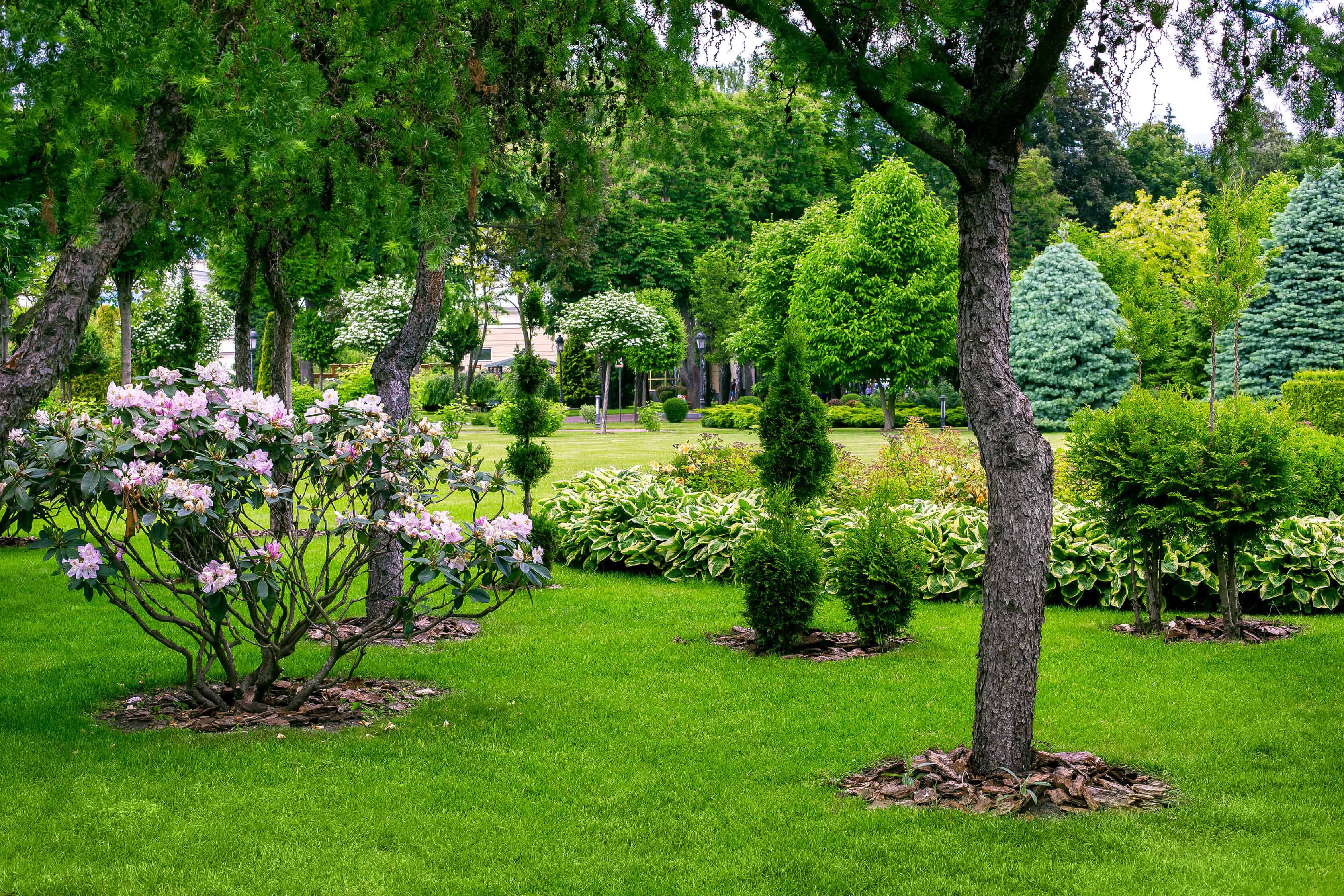 Landscape Design image