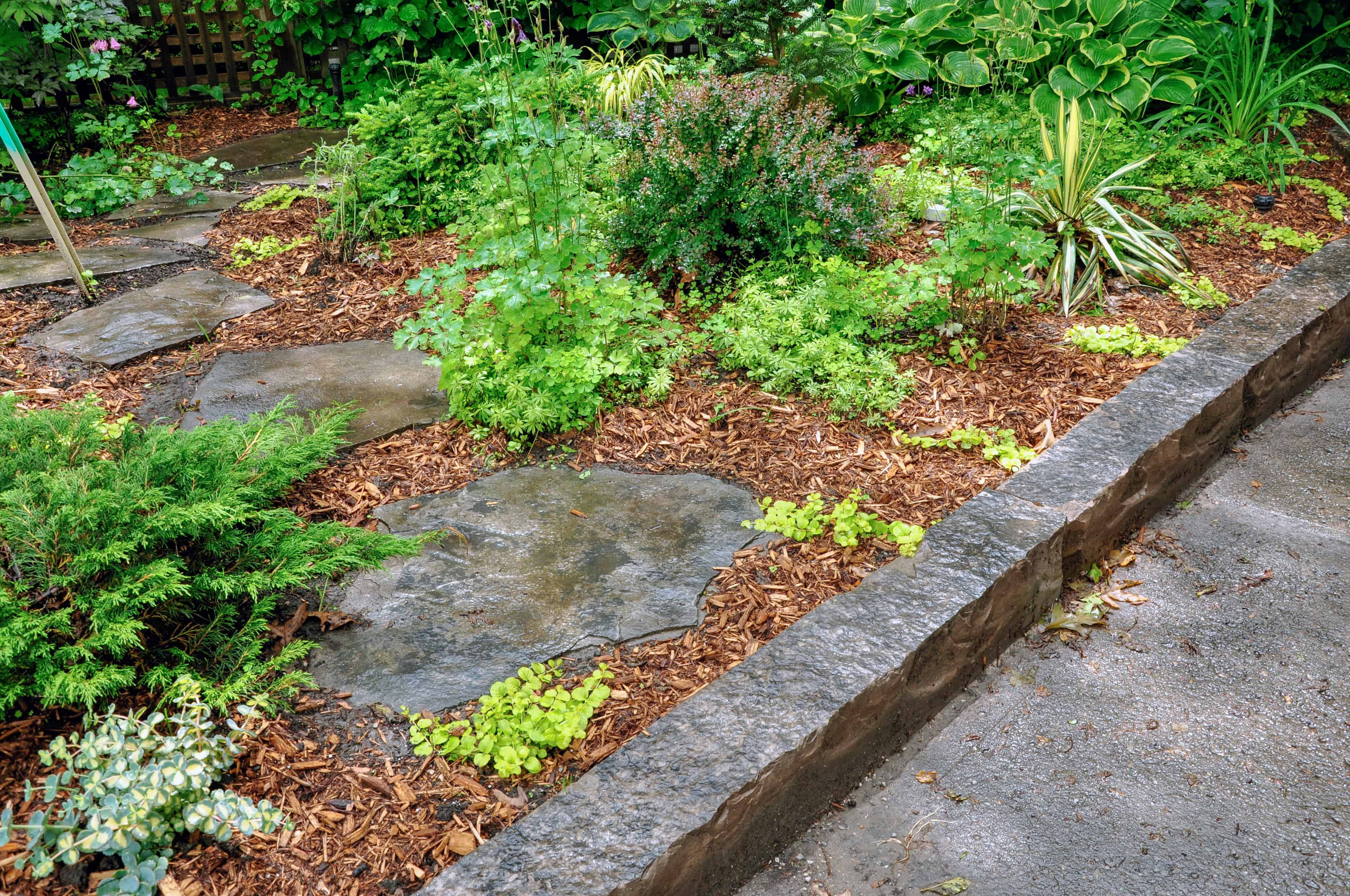 Garden Bed Installation & Mulching image