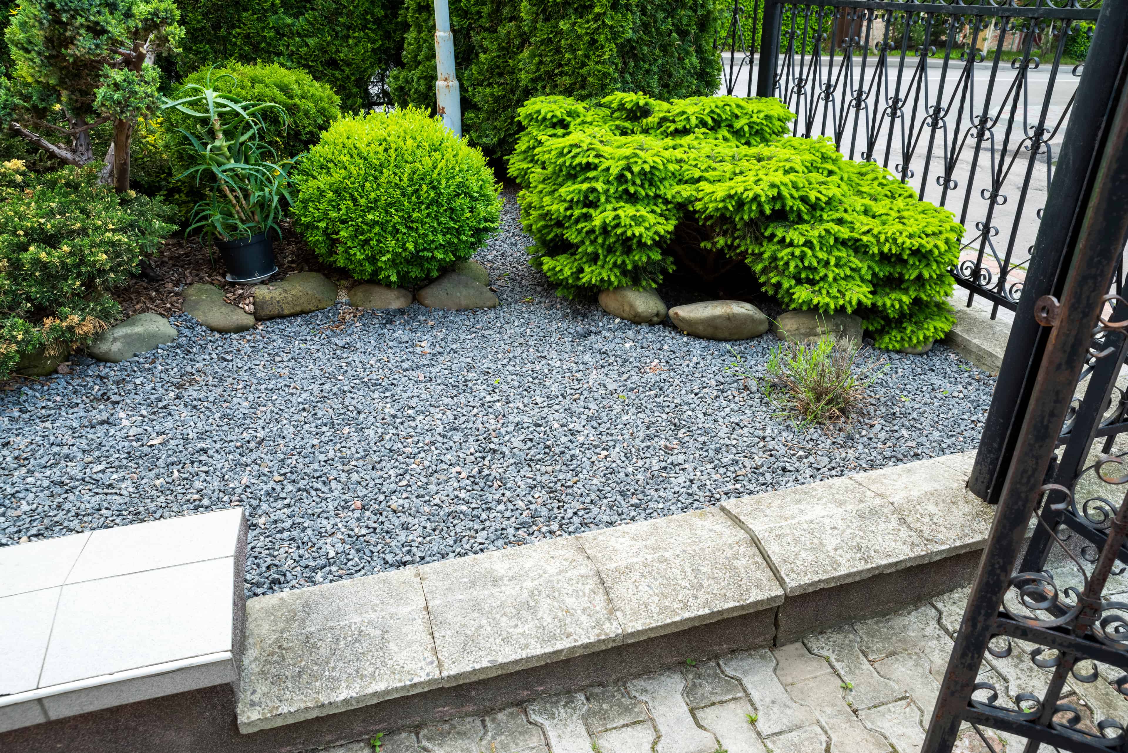 Tree & Shrub Planting image