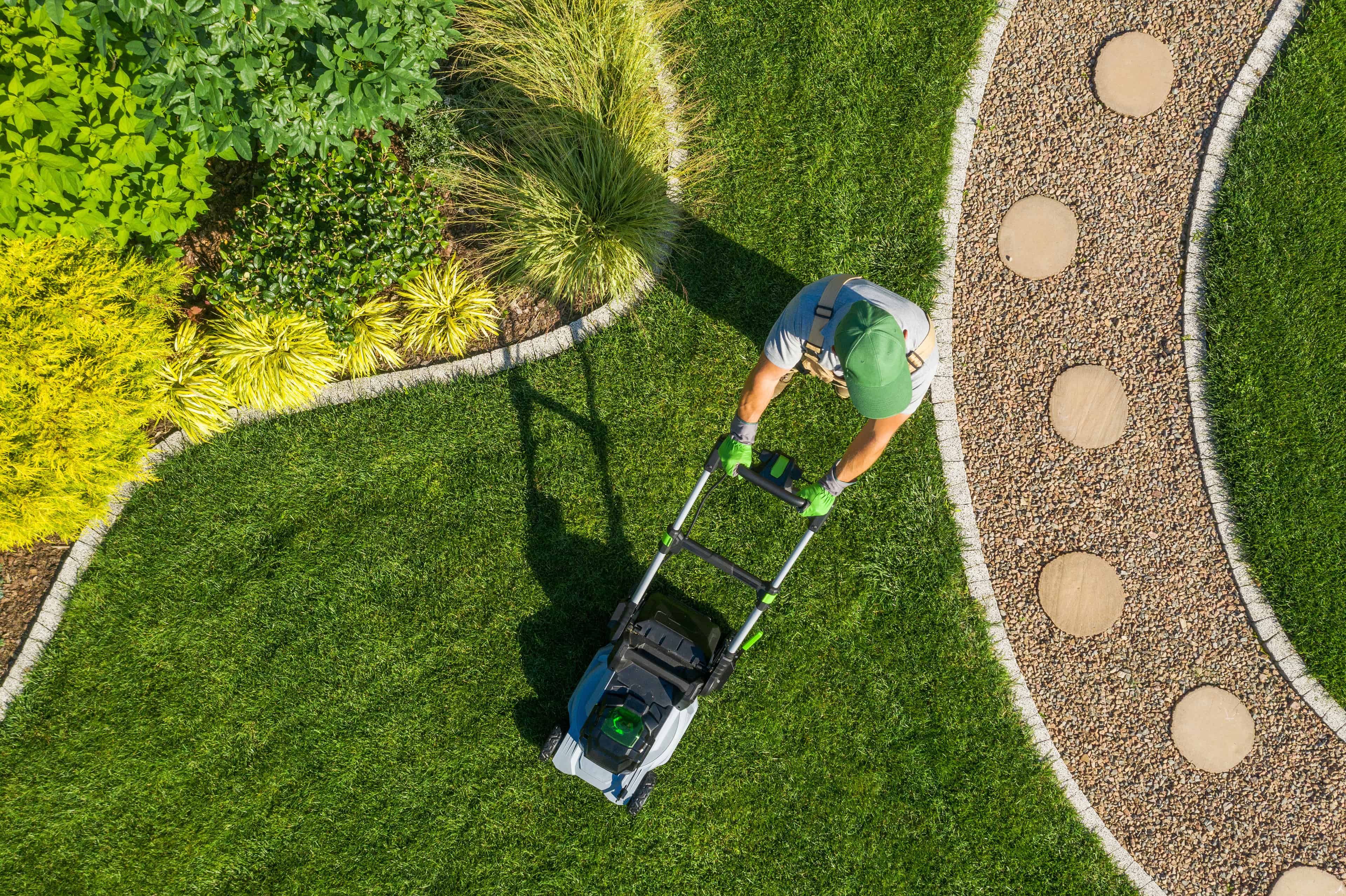 Spring Yard Cleanup image