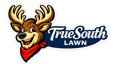 TrueSouth Lawn & Wash, LLC
